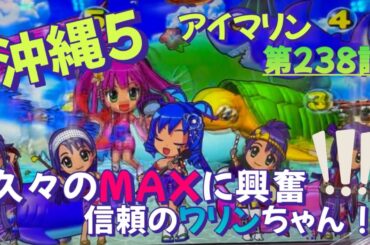 仕事帰りの立ち回り第238話　PAスーパー海物語 IN 沖縄5 with アイマリン #海物語 #沖縄5 #アイマリン #パチンコ #甘デジ #猫のいる生活 #猫がいる暮らし