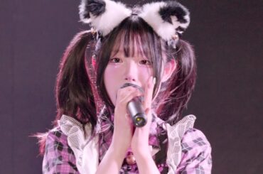 240808 애니데이(-ny day) 나비(Nab2) 『君の猫の日 KIMINONEKONOHI』 개인캠(SoloCam) 팬캠(FanCam) 세로직캠 4K 60P