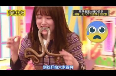 【櫻坂４６】「乃木坂工事中」🌺🅽🅴🆆🌺『斉藤優里&樋口日奈捕獲したハブの姿焼きを試食』