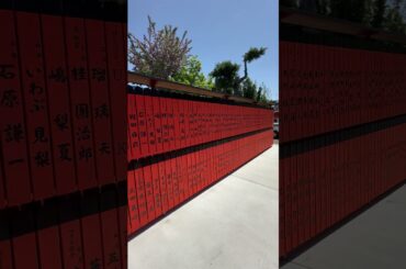 車折神社　#大橋彩香