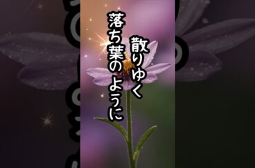 #shorts#多部未華子に歌ってほしい曲#歌うま#歌詞#作ってみた#音楽#おもしろい#suno#ai#自問自答#ドラマ#主題歌#ＴＶ