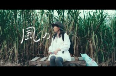 主演：伊藤沙莉　原作：原田マハ『風のマジム』超特報A【2025年9月5日より沖縄県先行公開、9月12日全国公開】