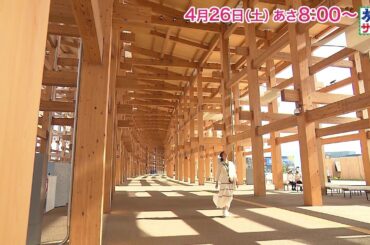 大阪・関西万博SP 未来さきどり旅！ゲストの旅は高橋みなみ！「旅サラダ」4月26日（土）放送