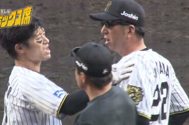 【エキサイト】藤川監督激怒！坂本誠志郎選手への頭部死球で両軍ベンチから監督選手が飛び出す事態に（2025年4月20日 阪神ー広島） #サンテレビボックス席