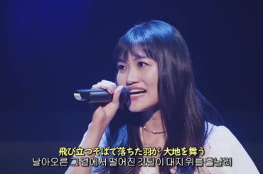 하야미 사오리(早見沙織) - Tear of Will 2023 Live / 성검전설 Legend of Mana -The Teardrop Crystal- OP