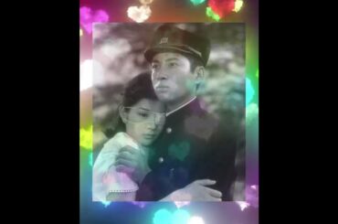 愛と死をみつめて◆青山和子