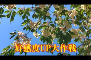 好感度UP大作戦