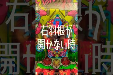 【パチンコ】HEIWA 羽根モノ ぽんぽこ林。デリケート過ぎるハネ！ #shortvideo #ぱちんこ #パチスロ #レトロ #昭和 #新台 #海物語