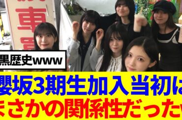 【櫻坂46】3期生加入当初は、まさかの関係性だったwww