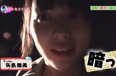 ℃-ute「矢島舞美の自慢の愛犬を紹介」篇