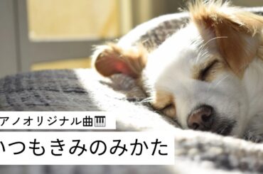ピアノオリジナル曲🎹『いつもきみのみかた』Improvised piano Performance 2025​⁠年春