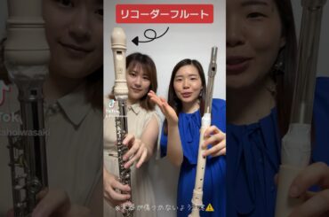 【検証】フルートとリコーダーを合体すると…？！ #フルート #リコーダー #吹奏楽