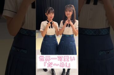 テレビ向きな相棒コンビ  #平尾帆夏 #山下葉留花 #日向坂46 #shorts