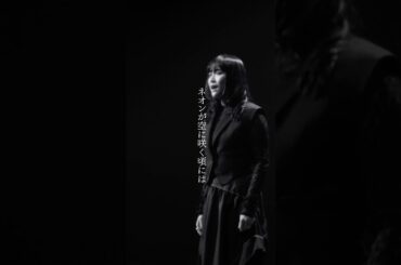 大原櫻子 新曲 "名前" Now On Sale　#歌詞動画 #jpop #fyp