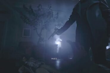 mipipi1017がPS4からブロードキャスト