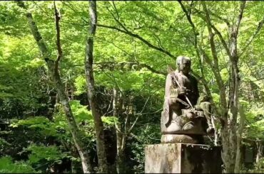 佛通寺（ぶっつうじ）　臨済宗の禅刹　最盛期には 山内の塔中88ヵ寺，西日本に末寺約３千ヵ寺　広島県三原市高坂町許山22　 #広島 #三原市 #広島県 #佛通寺 #仏通寺 #臨済宗 #佛通寺派 #寺