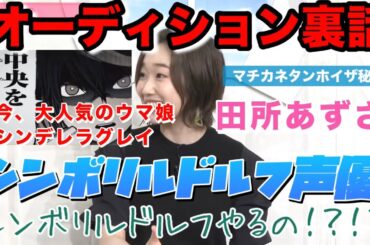 なめるな！シンデレラグレイ ルドルフ（cv.田所あずさ）声優オーディション裏話マチカネタンホイザ秘話付#ウマ娘#シンデレラグレイ