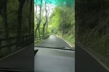 愛青山   愛绿水   愛蓝蓝的天。