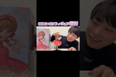 さくらちゃんってなんでこんなに可愛いんや #カードキャプターさくら #CCさくら #木之本桜 #CLAMP #ゲームセンター