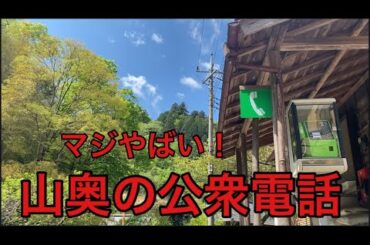 【柴犬飼い主55歳】30年ぶりに公衆電話を使ってみた！