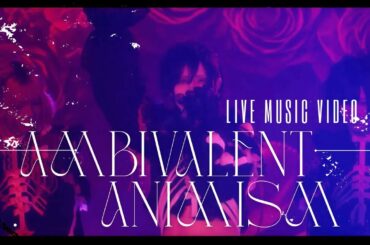 【LIVE映像】アンビバレント・アニミズム/Zolpidem