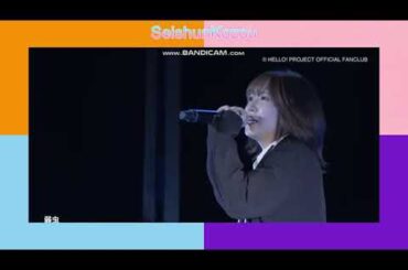 モーニング娘。’24　野中美希 ft 小田さくら / 弱虫