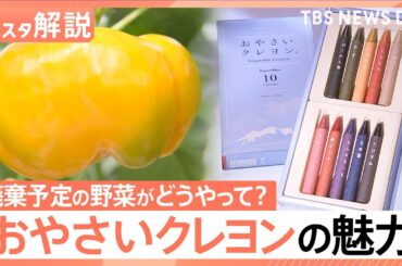 廃棄野菜が優しい色合いの「クレヨン」に変身　ほのかに「香り」も…環境にも子どもにもやさしい「おやさいクレヨン」【Nスタ解説】｜TBS NEWS DIG