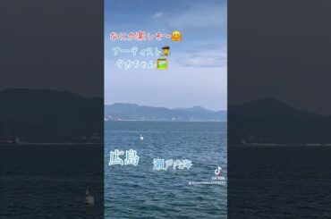 なにか楽しそ〜🤗瀬戸内海#広島#平和#感謝#ありがとう#瀬戸内海#海#放浪の画家#あアーティスト#タカちゃん
