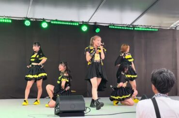 蜂蜜皇帝　2024.09.16 大阪城公園　太陽の広場　まっすぐに咲く花