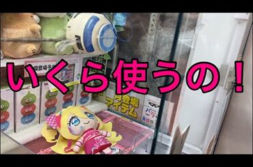 【柴犬飼い主55歳】センスないおじさんに見るにみかね定員さんが動く！