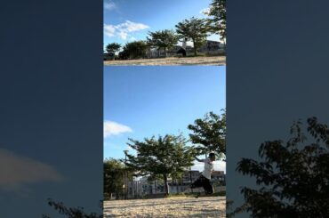 ★サッカー部⚽️あるある。『豚ゴリラかッ💢鶴屋美咲カヨッ💢噛みつきかよッ💢スアレスかよッ💢神の手カヨッ💢マラドーナかよッ💢‼️』 #東京藝術大学 #陰キャ #小6 #小4 #不審者