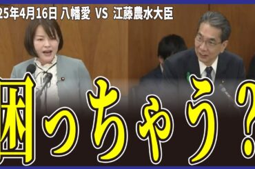 【車のツケに農産物？】食の自給率アップで日本を守れ！【八幡愛/江藤拓】 #政治  #政治家  #国会  #トランプ関税  #備蓄米  #自民党  #れいわ新選組