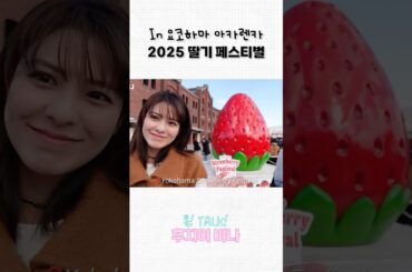일본 요코하마 딸기 축제🍓