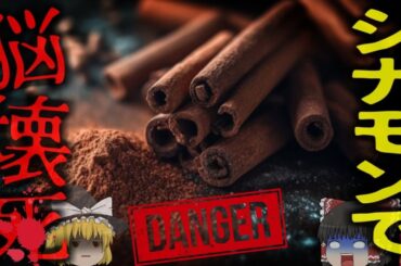 【衝撃実話】中学生が「シナモンチャレンジ」で脳が壊死…言葉も歩行も失った悲劇とは【ゆっくり解説】