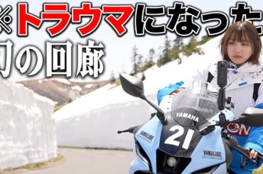 標高2172mに出現する雪の回廊行ったら絶望した泣【雪の回廊】