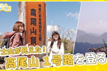 【高尾山】富士山も見えた！初心者大歓迎の高尾山1号路を満喫！