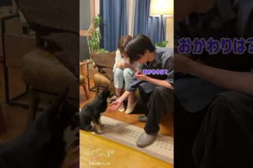 久間田琳加可愛い #久間田琳加 #ドラマ #私たちが恋する理由 #犬 #菊池風磨