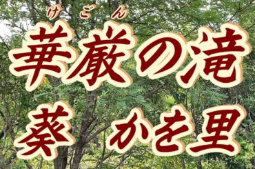 【2025年5月14日発売】華厳の滝/葵かを里(歌詞付き)　　cover    心笑