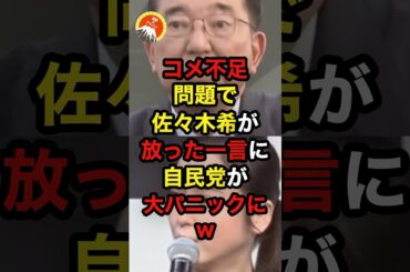 コメ不足問題で佐々木希が放った一言に自民党が大パニックにw