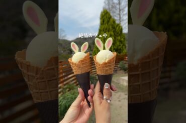 4/24爆誕子連れ神宿