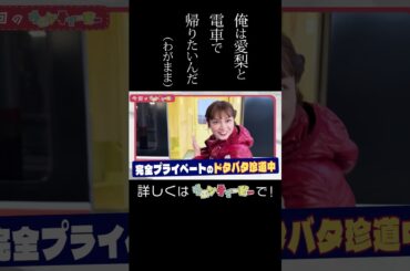 平愛梨とウエンツ瑛士のプライベート ドタバタ電車旅