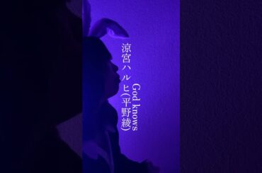 #Godknows #涼宮ハルヒ #平野綾 #涼宮ハルヒの憂鬱 #バニー隊長の毎日投稿