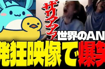 えなこカップでANSコーチの発狂クリップをみて爆笑するすもも【オーバーウォッチ2】