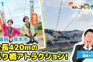 【蓬莱さんのドライブ予報＃３1】大阪・茨木市に全長420mの吊り橋！