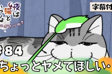 猫のキュルガ【夜は猫といっしょ:84夜目】(字幕付き)