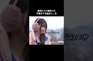 今日好きメンバーvs動物たちの仁義なき戦い...！💥｜今日、好きになりました。【公式】