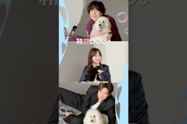 『#初恋DOGs』🐕ビジュアル撮影の様子📸 #清原果耶 #成田凌 #ナイヌ