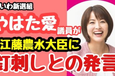 れいわ新選組【やはた愛議員が江藤農水大臣に語ったエールの本音】
