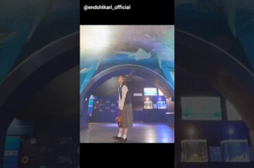 遠藤光莉 ひかりんと水族館デート気分♪アクアパーク品川 櫻坂46