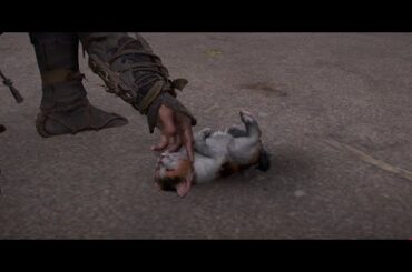 Assassin's Creed Shadows　20250504　#１７　奈緒江編